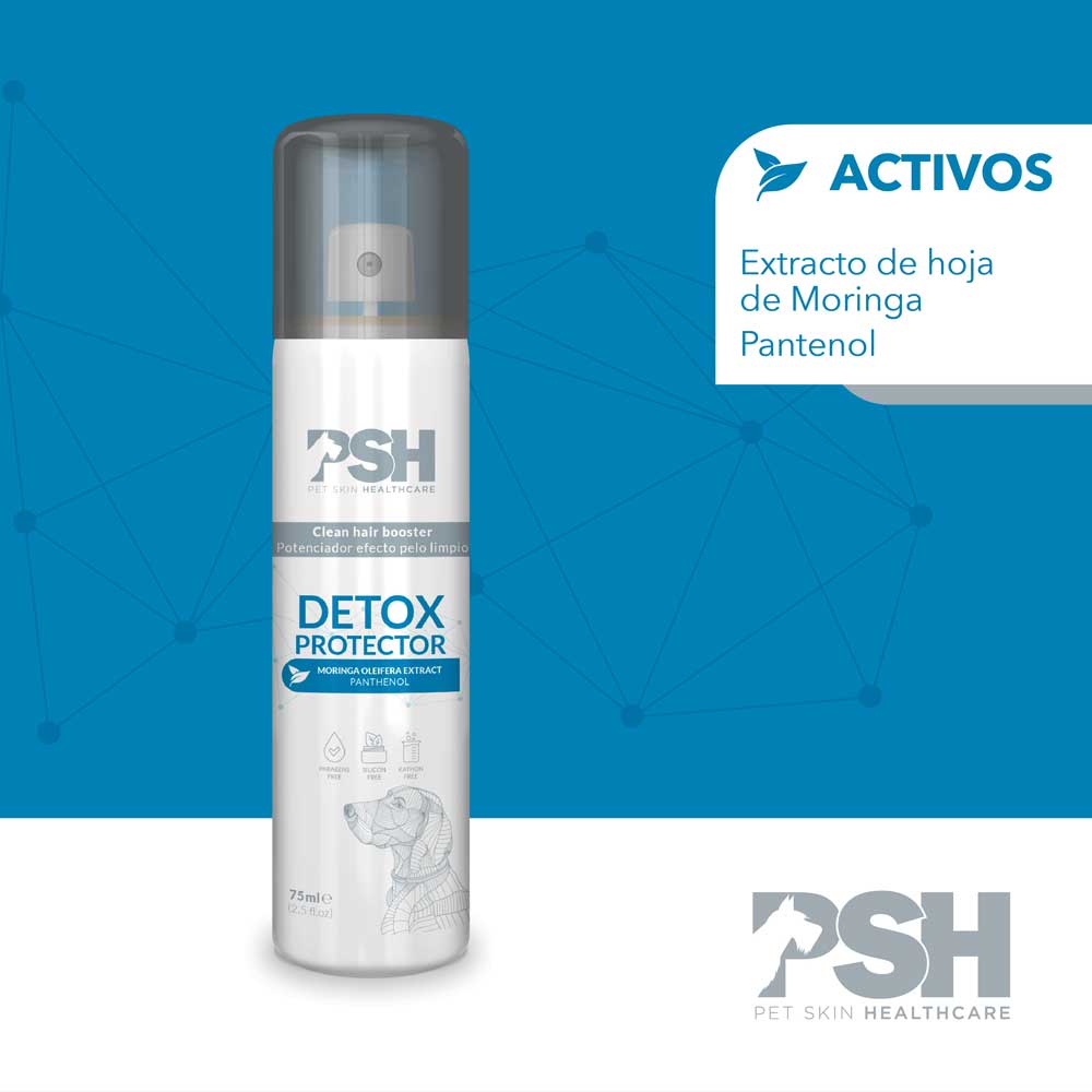 Detox Activos Psh A 2023 1