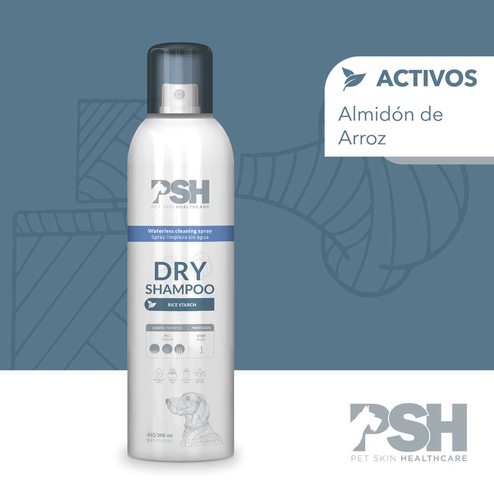Dryshampoo Activos Psh A 2023 1