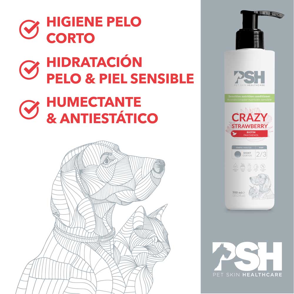 Crazy Ac Indicacion Psh A 2023