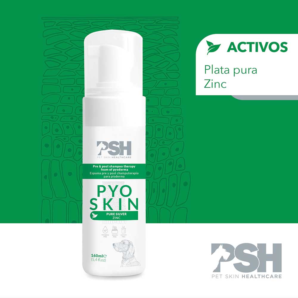 Pyoskin Activos Psh A 2023 Copia 2