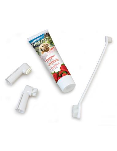 Set Dental Sabor Fresa (1)